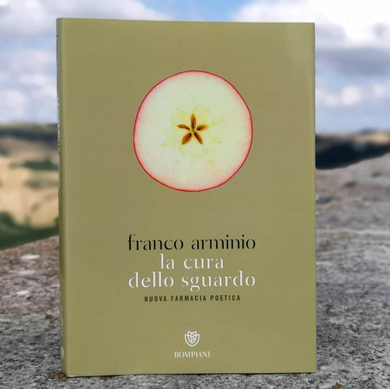 La Cura Dello Sguardo Il Nuovo Libro Di Franco Arminio Fraternità Di Romena 7863